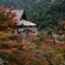 181114a長谷寺42
