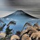 FUJI　SUSUKI