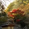 箱根 天山湯治郷 紅葉と湯気と