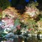 百済寺　ライトアップ