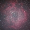 バラ星雲