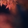 惻　隠