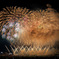 夜空の競演Ⅵ