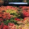 東福寺