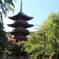 上野動物園の五重の塔