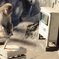 あれ？？俺の体重が...