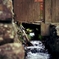 DSC02594_Fotor