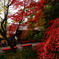 DSC02618