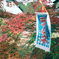 DSC02642_edited