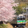 桜吹雪の中を