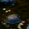 流転