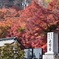もみじ寺