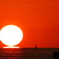 達磨夕陽 2018.11.24 《80D + 600mm》