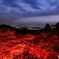 トワイライト紅葉　P1029180