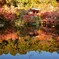 醍醐寺の水鏡