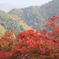 天狗の山