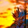C360_2018-11-24-17-18-39-386