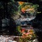 水面の紅葉