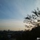 夕景
