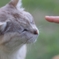 たっち・・・