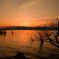 琵琶湖の夕景