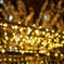 Illumination ２