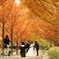 autumn start