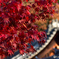 紅葉_毘沙門堂門跡_3