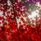 紅漏れ日