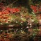 東山動植物園