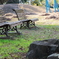 公園のベンチ
