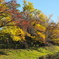 小川の秋