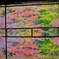 2018瑠璃光院の秋