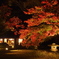 晩秋の夜長