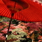 石山寺　紅葉