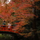 北野の紅