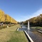 国営昭和記念公園