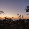 秋の夕景