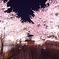 28530809-189E-4EB3-8D61-26D7A8F6C6DA