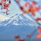 富士山と紅葉