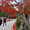 紅葉の七福神(小さい)