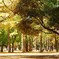 代々木公園
