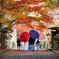 大原野神社での晴れの日