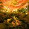 紅葉の銀河