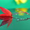 紅葉としずく