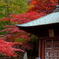 雨降山・大山寺3