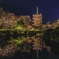 東寺 紅葉 ライトアップ