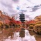 東寺 紅葉