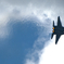 18年岐阜基地航空祭予行 F-15