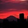 火の国より ～ Sunset in Tokyo♪。.:＊・゜